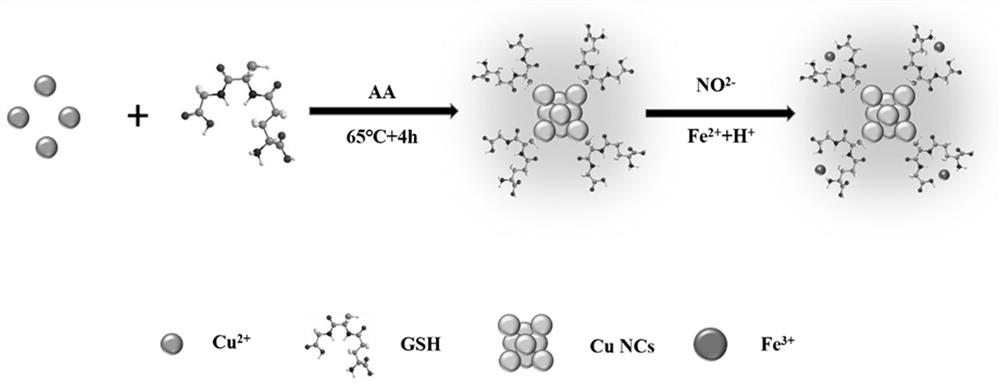 Specific nitrite fluorescence detection method based on copper nanoclusters and oxidation reaction