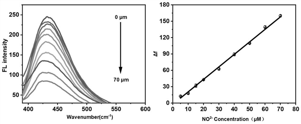 Specific nitrite fluorescence detection method based on copper nanoclusters and oxidation reaction