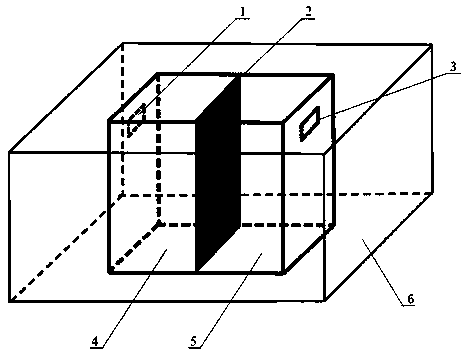 Simple method and device for preparing coral strontium carbonate crystal