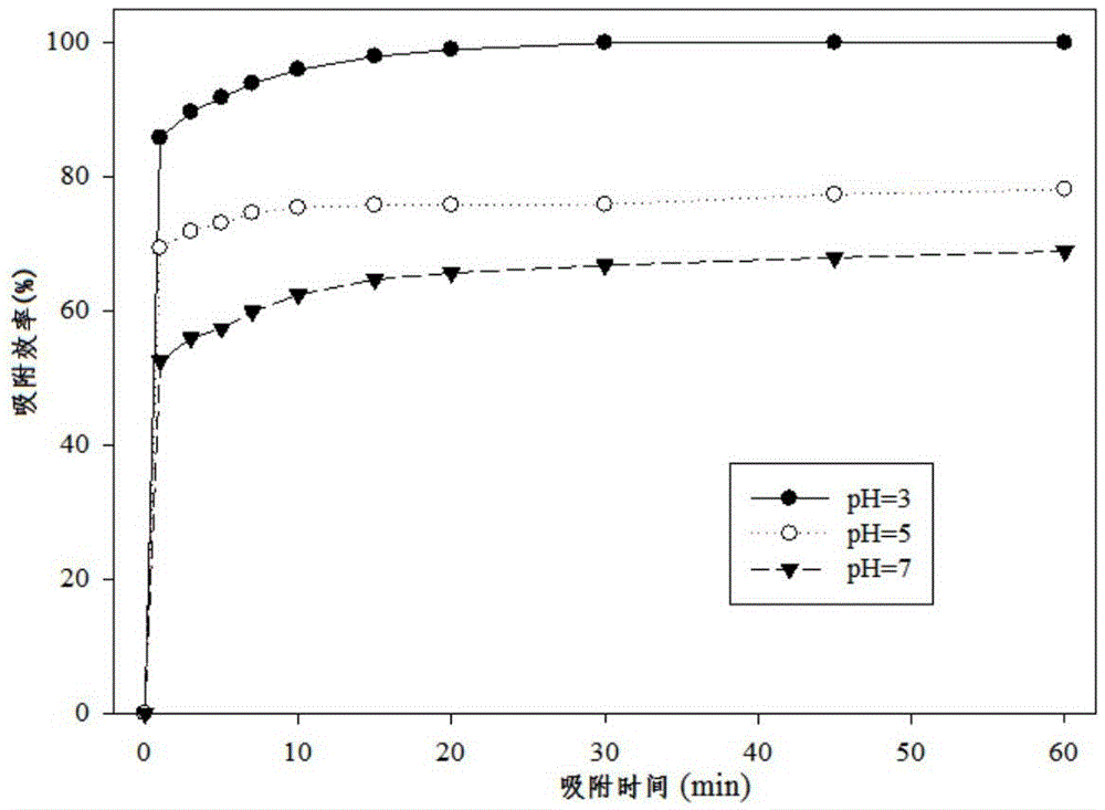 Modified fes nanoparticle and its preparation method and application