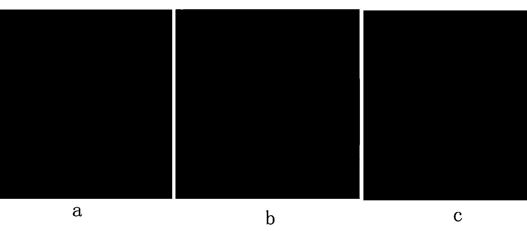 Method for screening rock sample by measuring fixed porosity