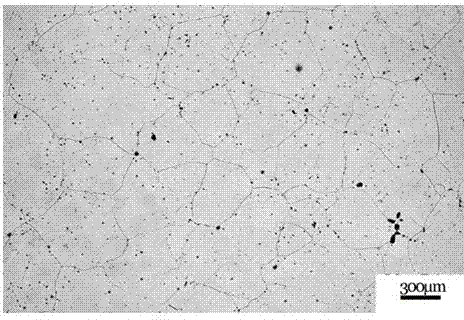 Magnesium alloy plate serving as battery cathode and preparation method thereof