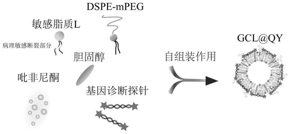 Nano preparation loaded with gene diagnosis probe and/or anti-pulmonary fibrosis drug and preparation method of nano preparation