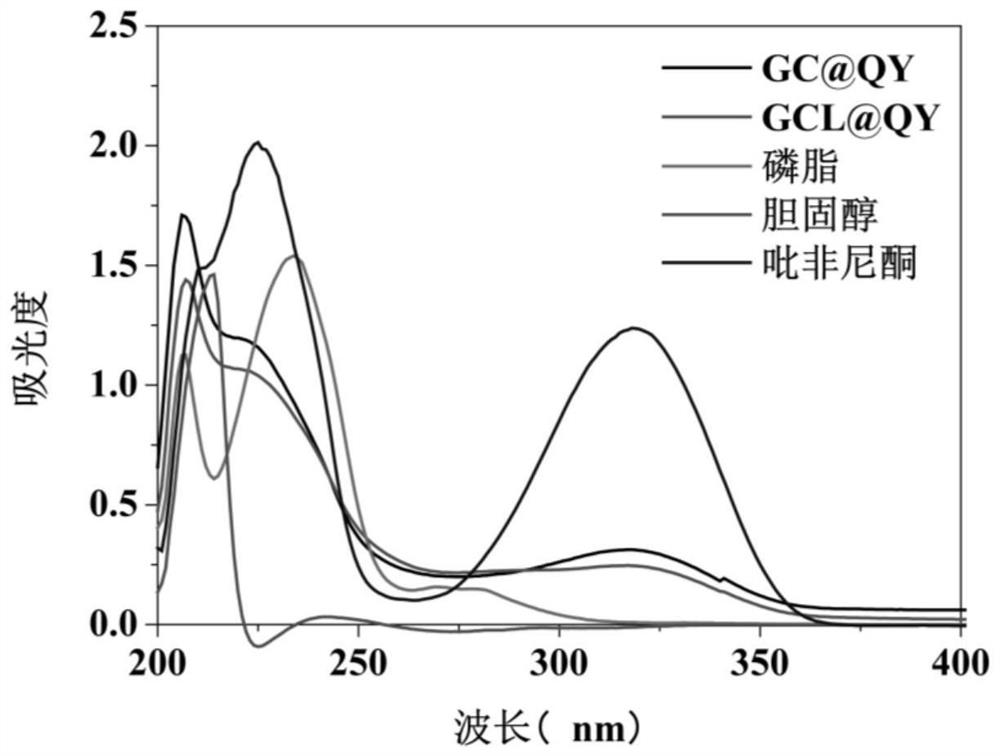 Nano preparation loaded with gene diagnosis probe and/or anti-pulmonary fibrosis drug and preparation method of nano preparation