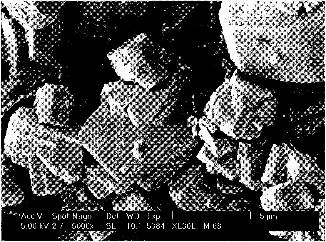 Preparation method of binder-free mordenite catalyst