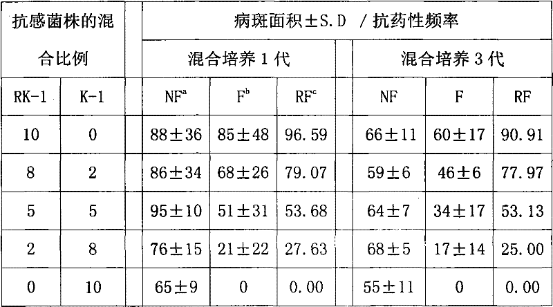 Method for monitoring drug resistance frequency of peronospora parasitica