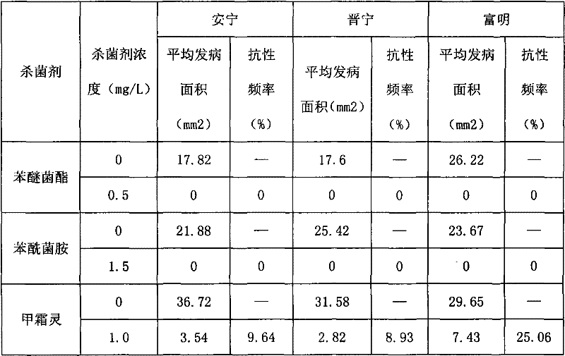 Method for monitoring drug resistance frequency of peronospora parasitica