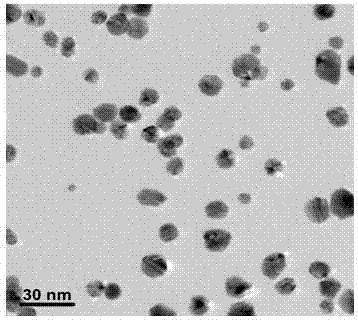 Antibacterial cellulosic fiber or antibacterial cellulosic fiber product and preparation method thereof