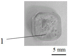 Composite structure capable of retarding magnesium-alloy degradation under coating by silk fibroin