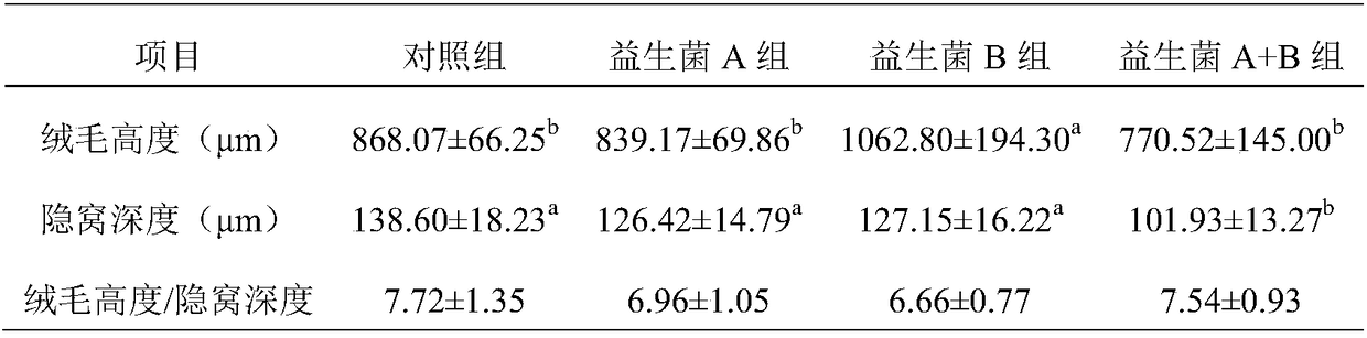 Screening method of feed probiotics capable of preventing chicken's infection caused by clostridium perfringens