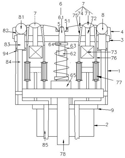 Special probe device for beauty freckle-removing machine