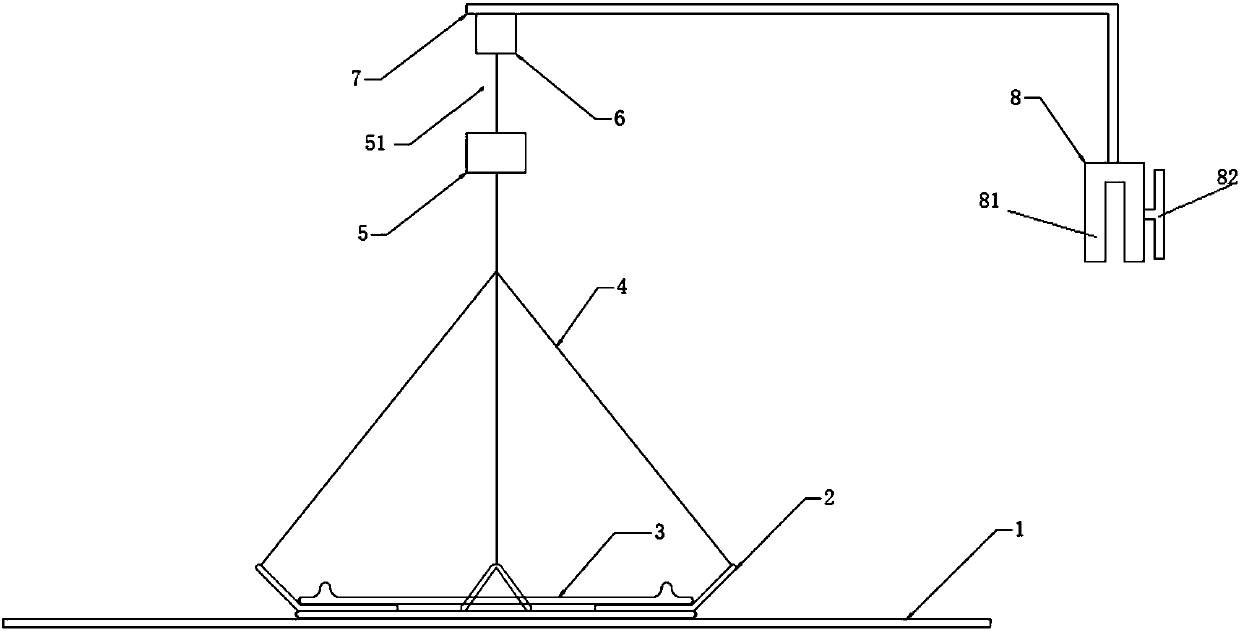 Trionyx sinensis juvenile feed table for weighing feeding amounts