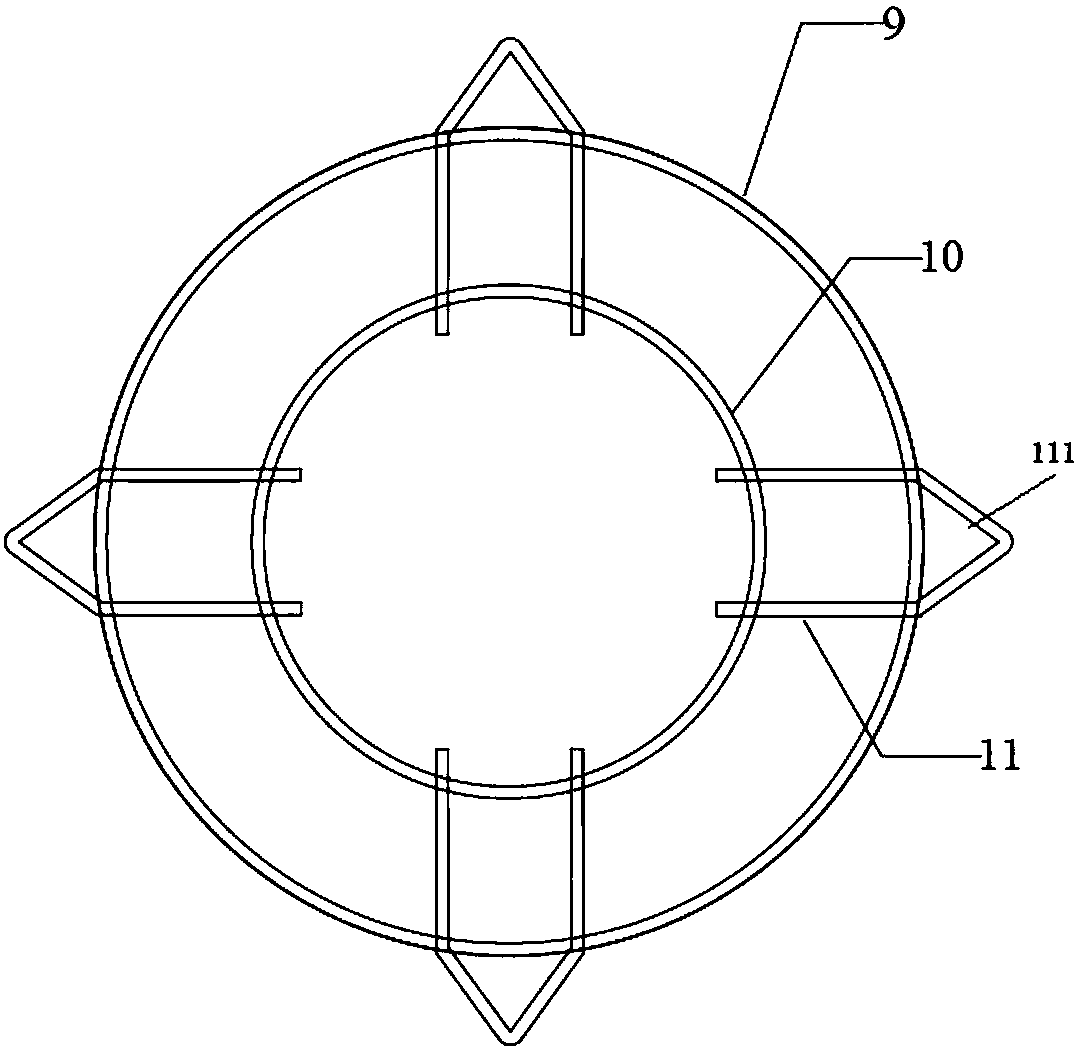 Trionyx sinensis juvenile feed table for weighing feeding amounts