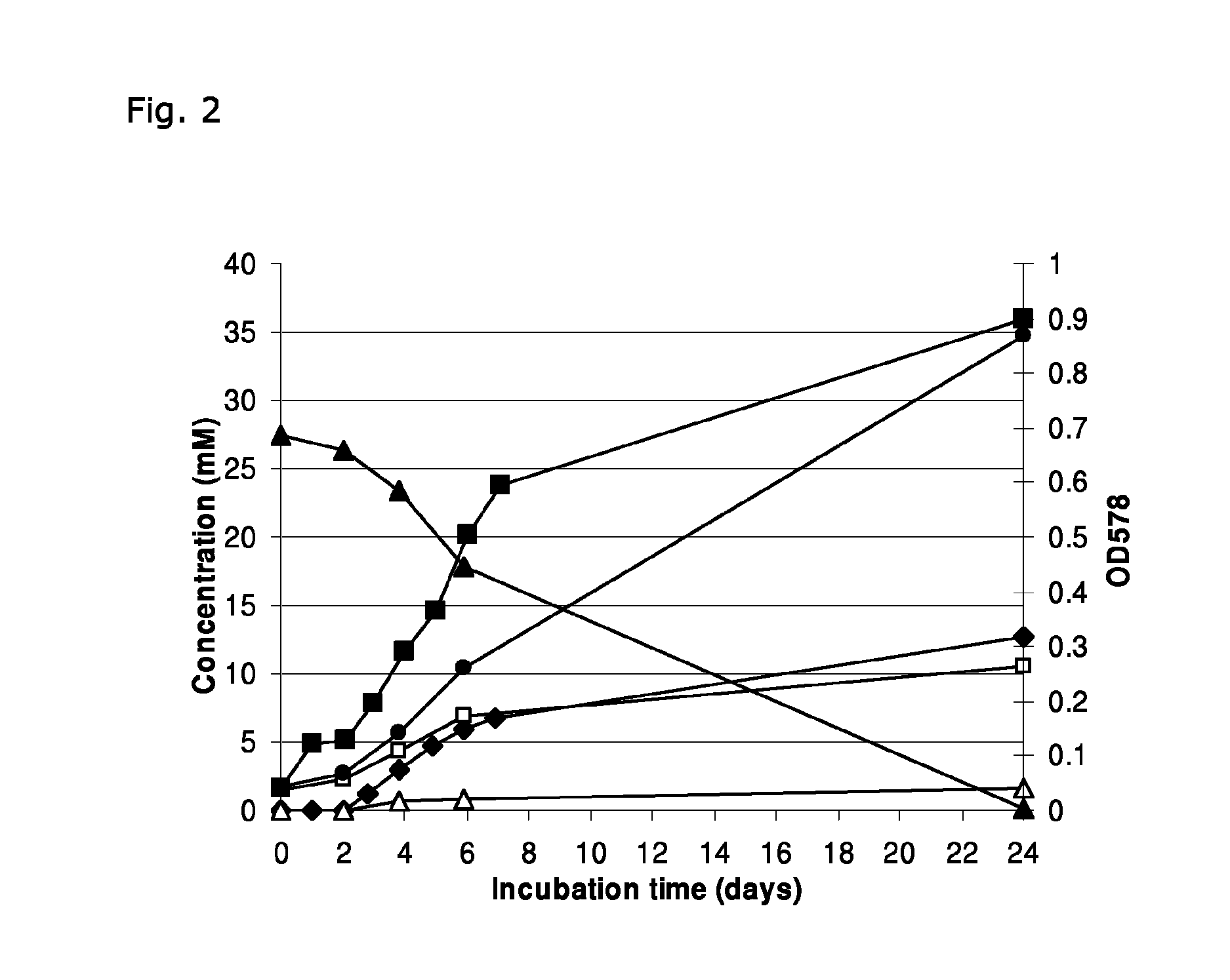 <i>Thermoanaerobacter mathranii </i>strain BG1