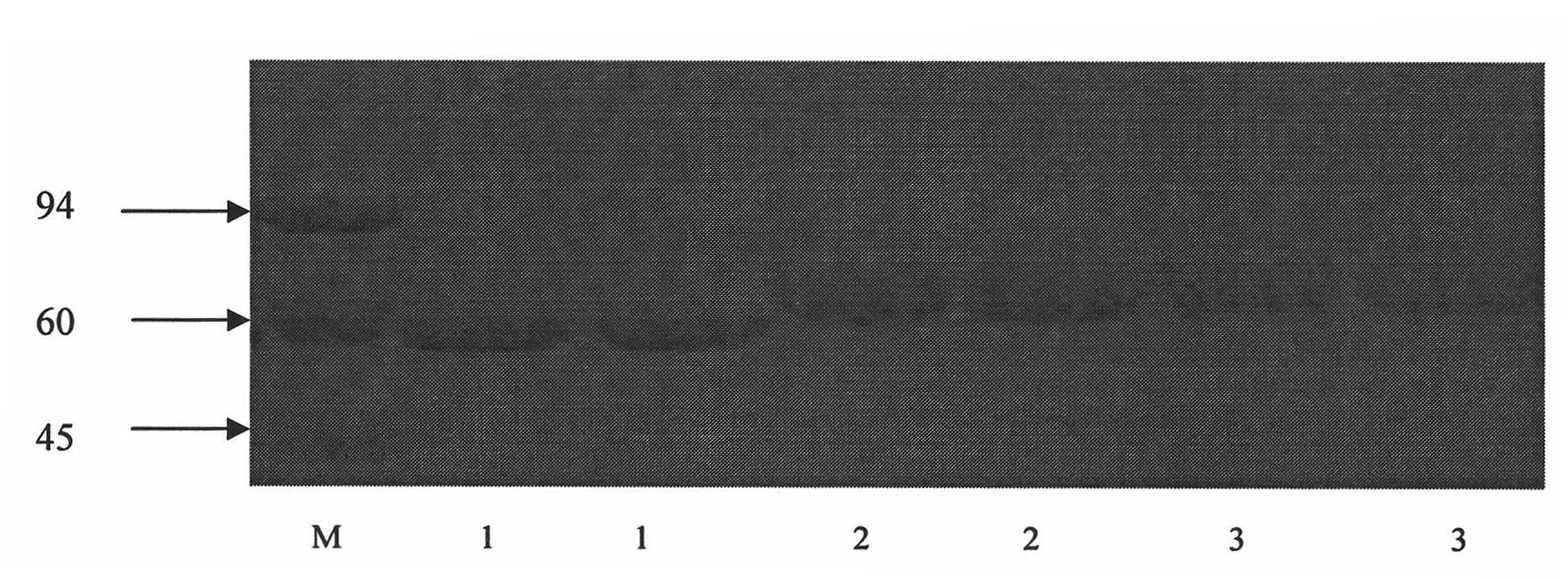 Monoclonal antibody capable of resisting heavy metal copper and preparation method thereof