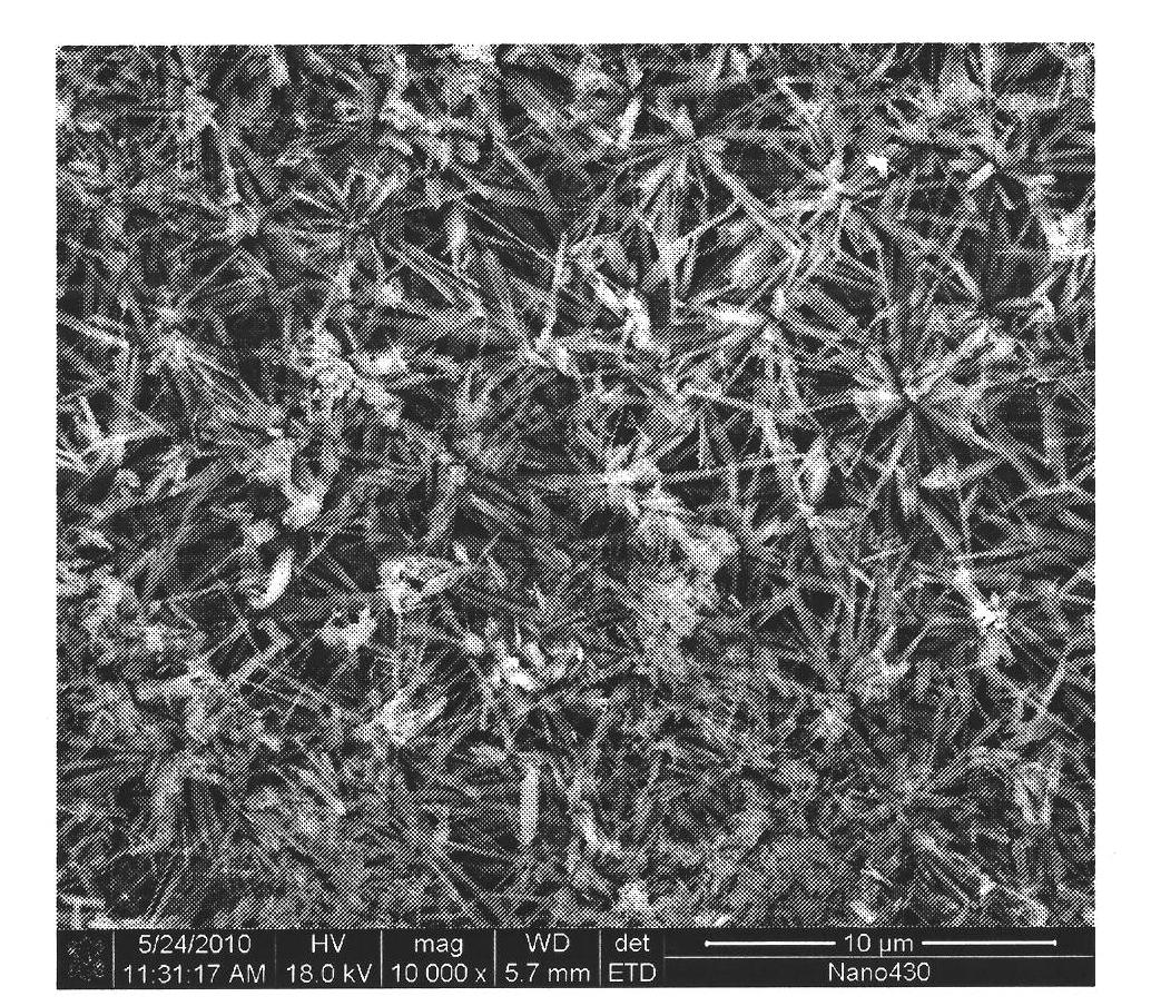 Treating fluid for preparing zirconium-containing coloring passive film on surface of aluminum alloy and treating method thereof