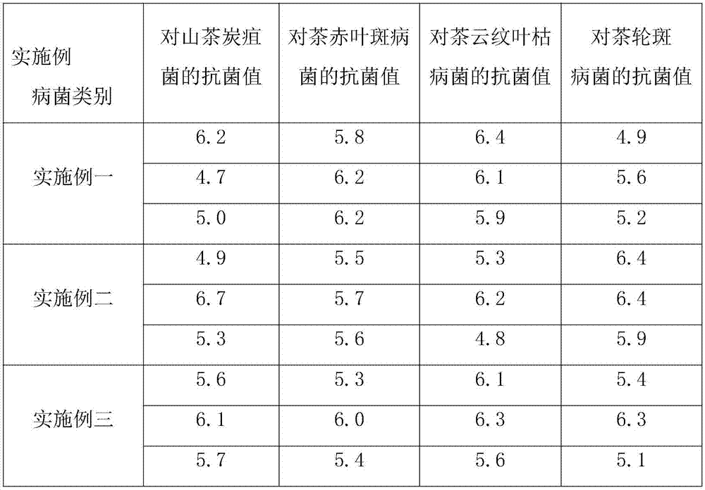 Camellia semiserrata stocking cutting and cleft drafting culture technology