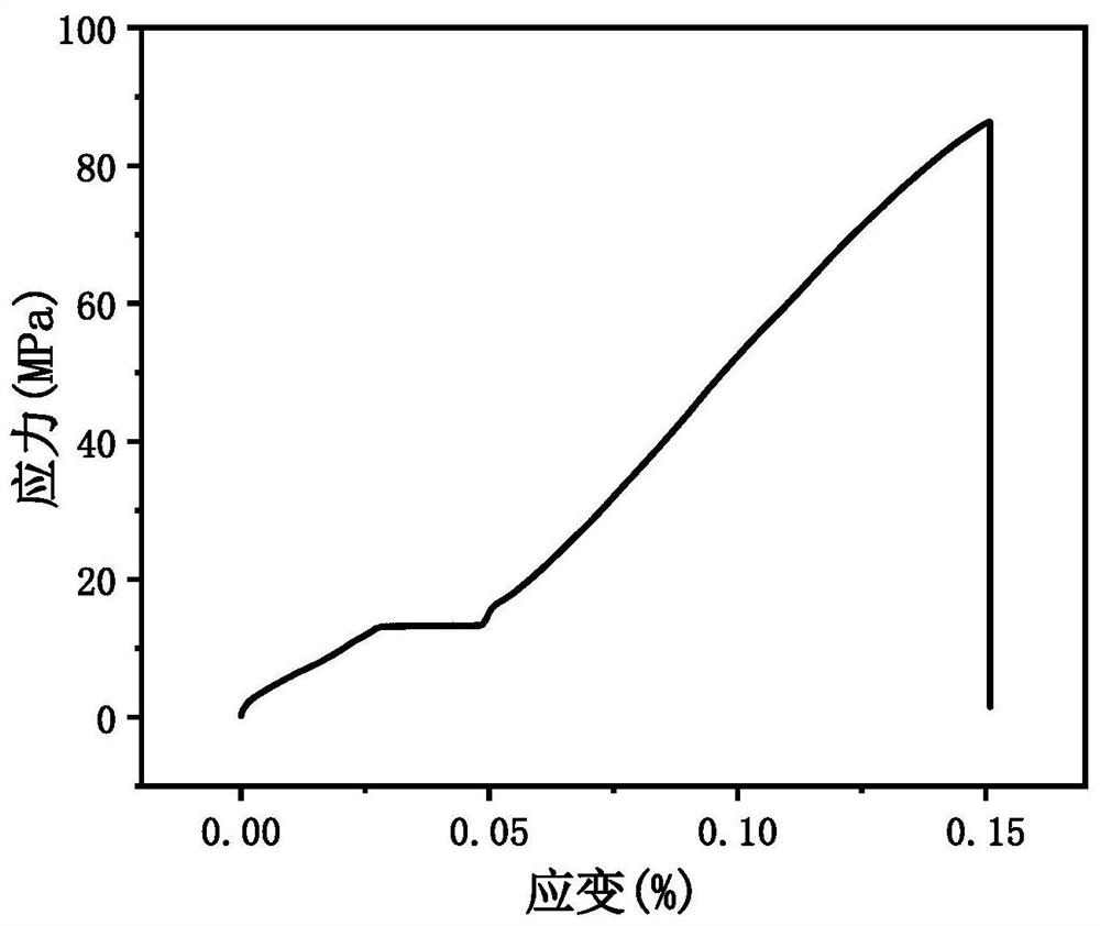 Plant plastic and preparation method thereof