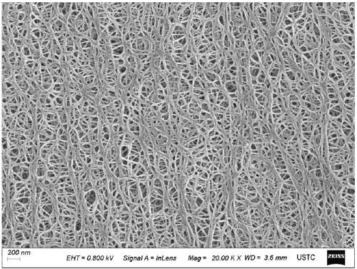 Waterproof and moisture permeable polyethylene film and preparation method thereof