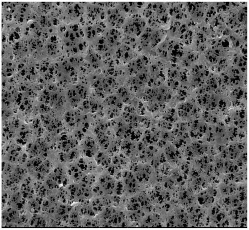 Lithium battery polyimide diaphragm and preparation method thereof