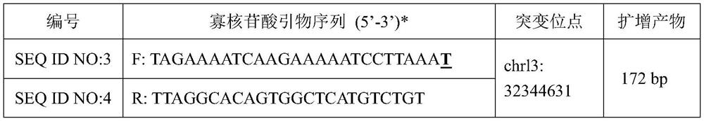 Breast cancer susceptibility gene BRCA2-K2305N mutant and specific primer thereof