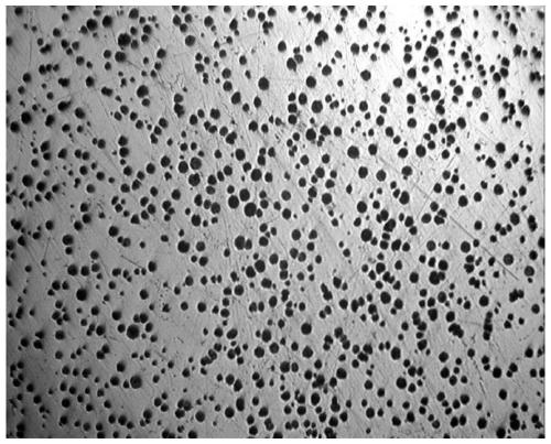 Fragmented graphite prevention large-section nodular cast iron sectional material and process