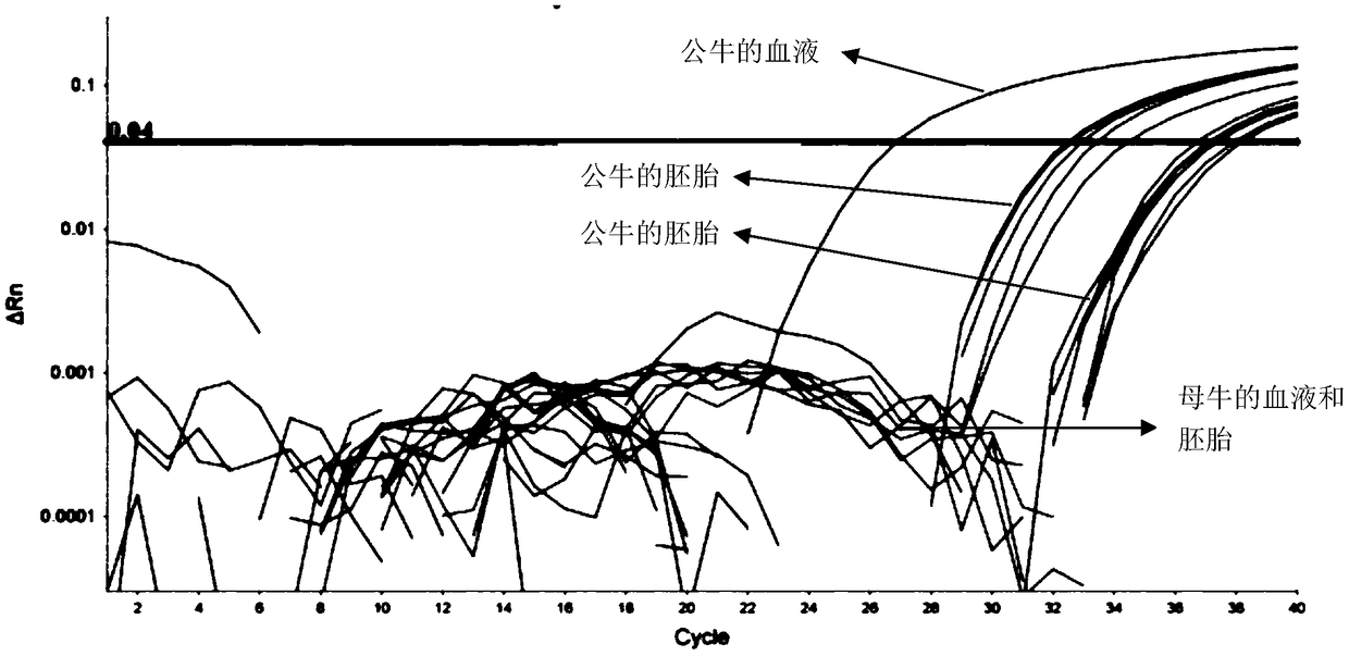 System, method and kit for identifying genders of cows and early embryos of cows