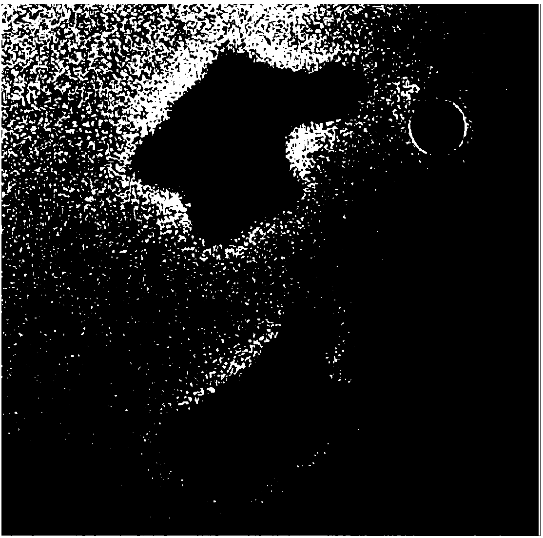 Transparent composite photonic crystal material and preparation method and application thereof