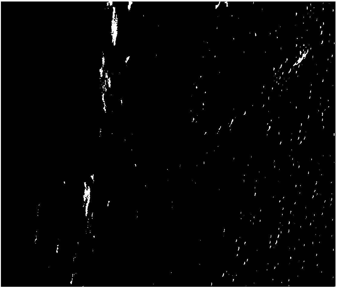 Transparent composite photonic crystal material and preparation method and application thereof