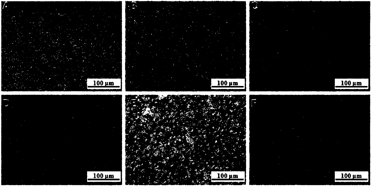 Application of water extract of flowers of Apios americana Medikus to mitigation of lipidosis in hepatocytes