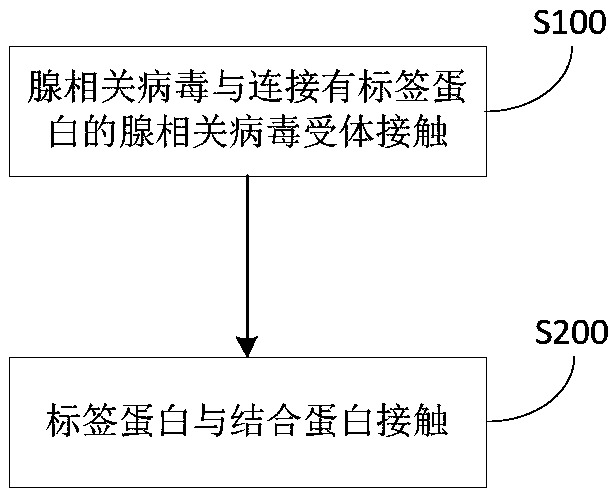 Method for treating adeno-associated viruses and kit