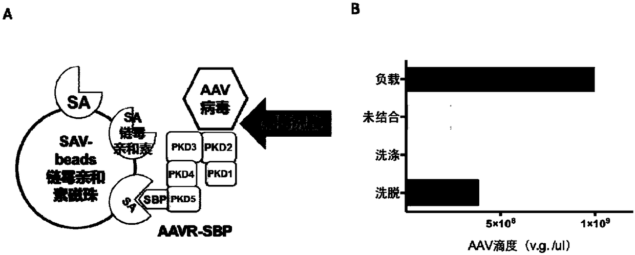 Method for treating adeno-associated viruses and kit