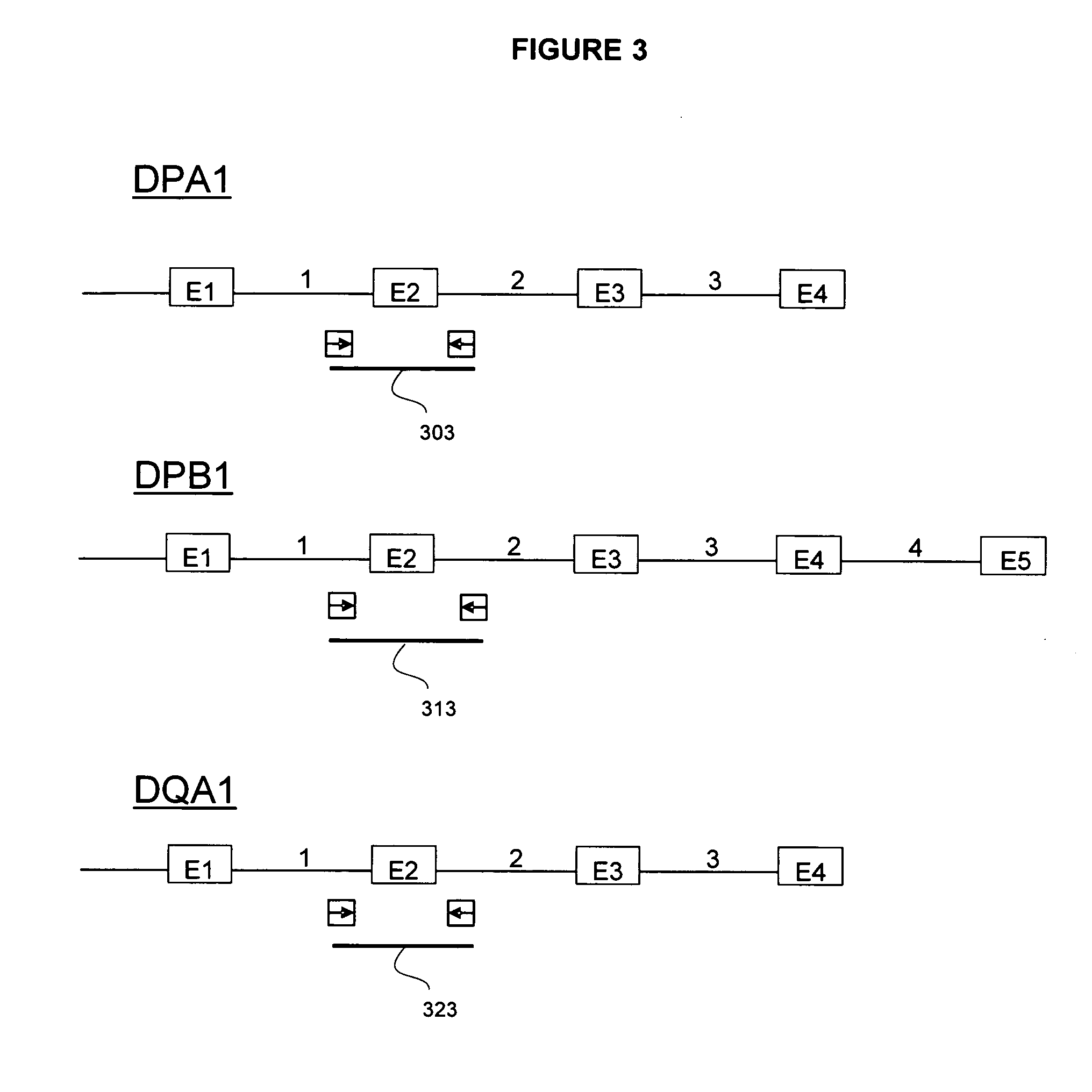 System and method for detection of HLA Variants