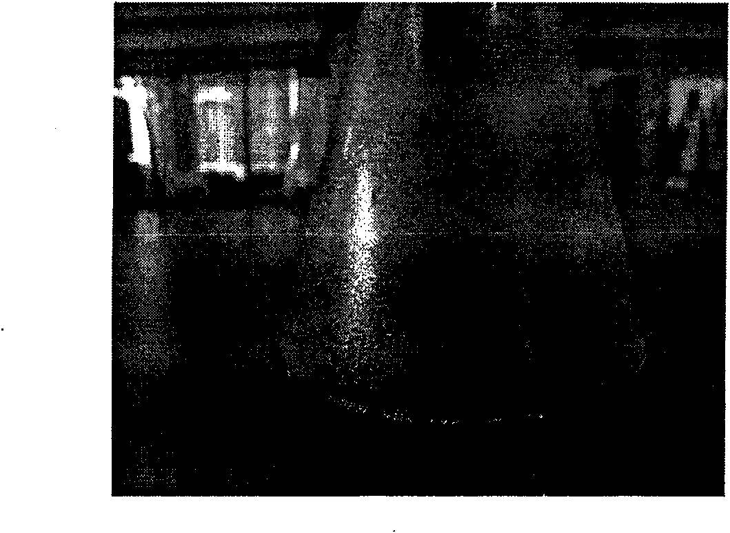 Method for hydrolyzing lignocellulose