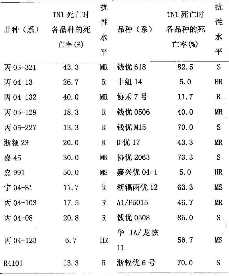 Method for evaluating rice planthopper-resistant property of rice