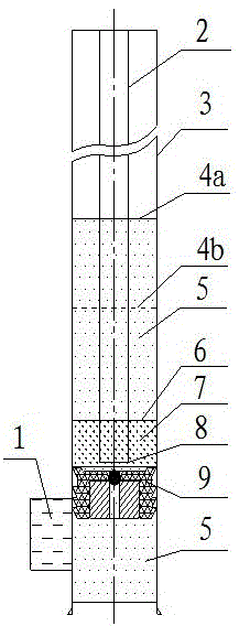 Plug injection method for downhole operation