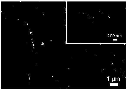 Porous nitrogen-doped carbon/carbon nanotube composite material, preparation method thereof and application