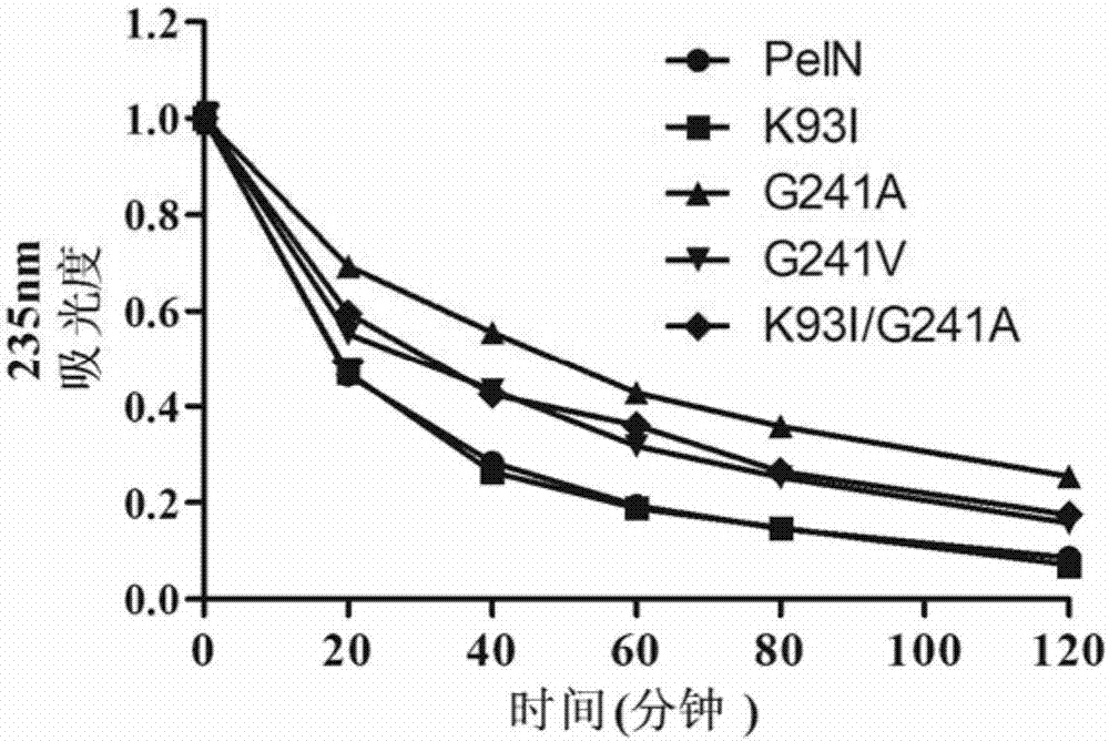 Alkaline pectinase mutant with improved heat stability as well as encoding gene and application of alkaline pectinase mutant