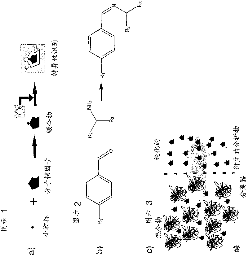 Method of derivatising an analyte for subsequent detection through a nucleic acid based sensor