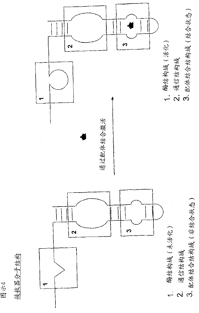 Method of derivatising an analyte for subsequent detection through a nucleic acid based sensor