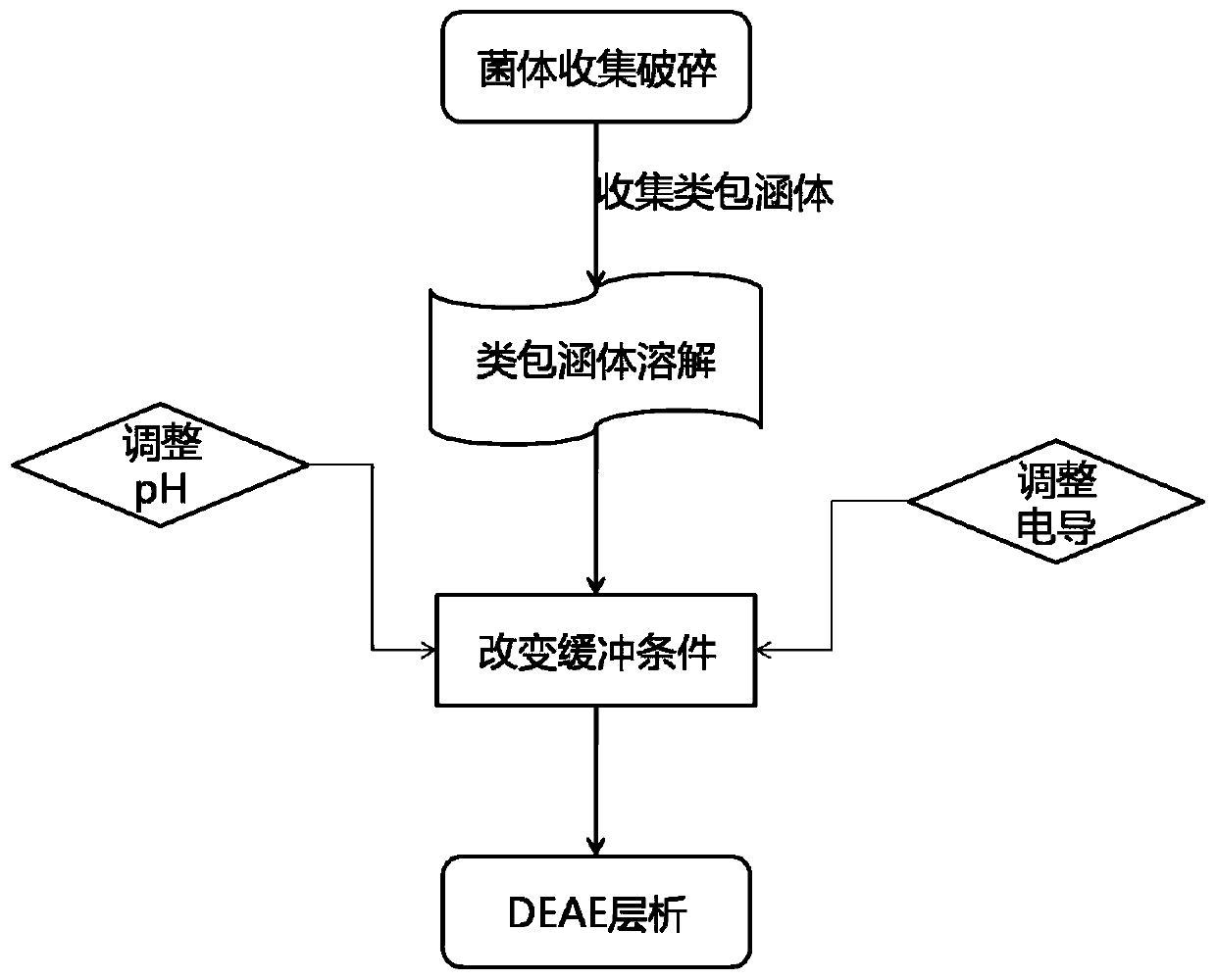 Preparation method, purification method and applications of PEG-modified recombinant humanized urate oxidase