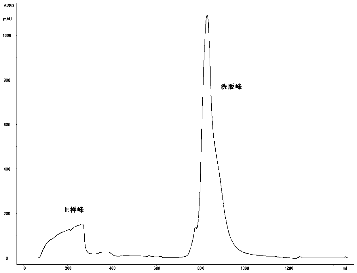 Preparation method, purification method and applications of PEG-modified recombinant humanized urate oxidase