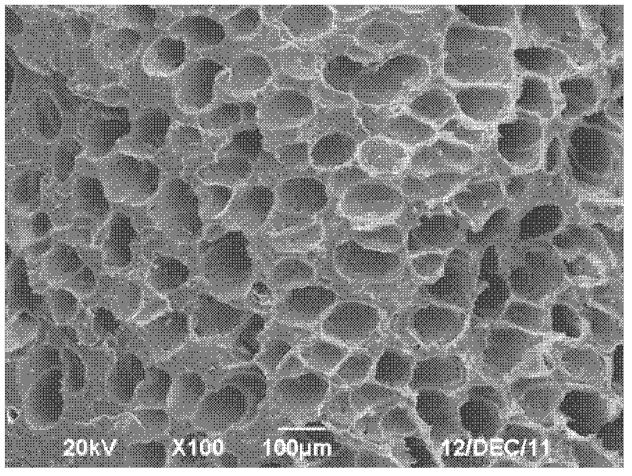 Polypropylene foaming masterbatch and production method thereof