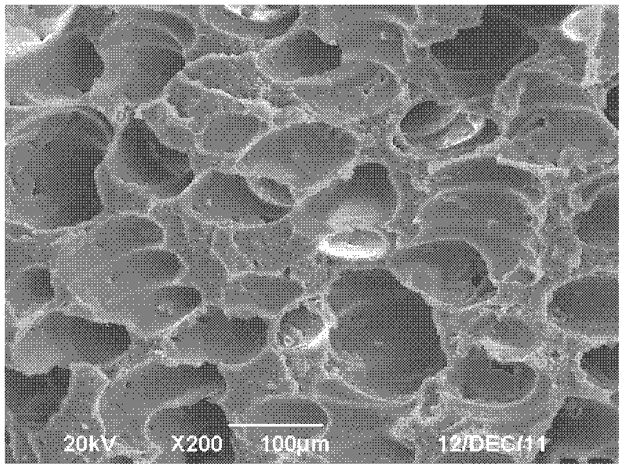 Polypropylene foaming masterbatch and production method thereof