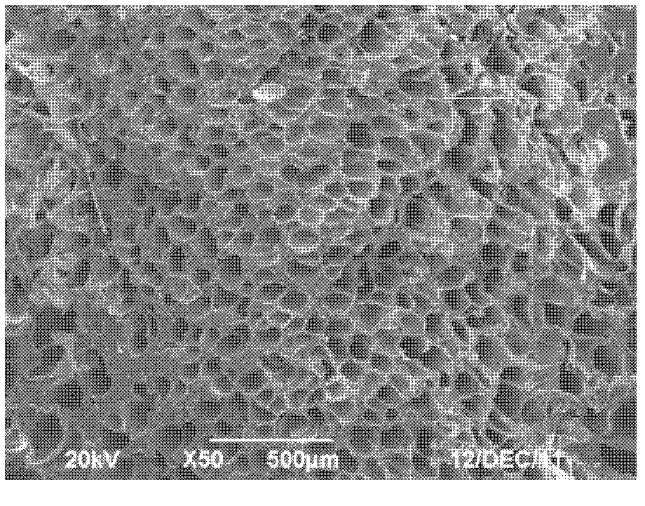 Polypropylene foaming masterbatch and production method thereof