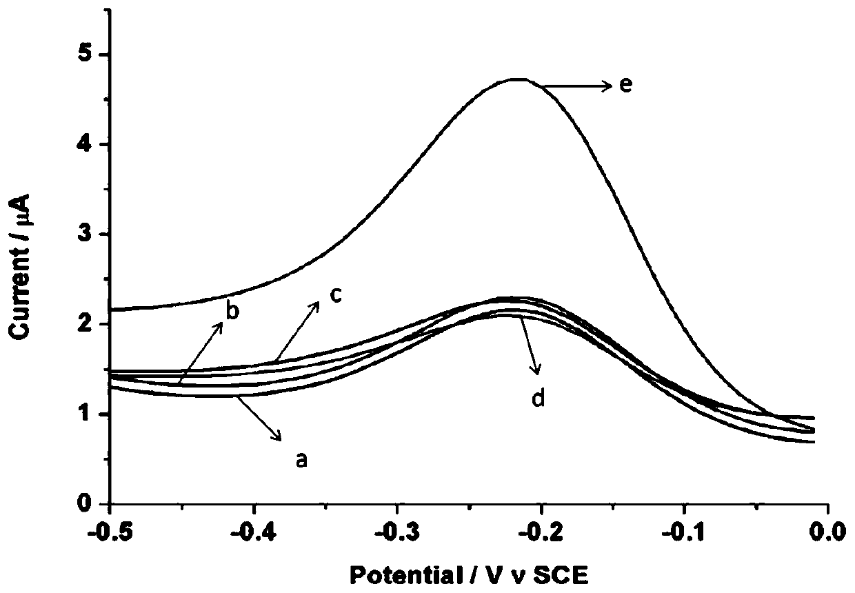 Electrochemical sensor for detecting telomerase activity and detection method thereof