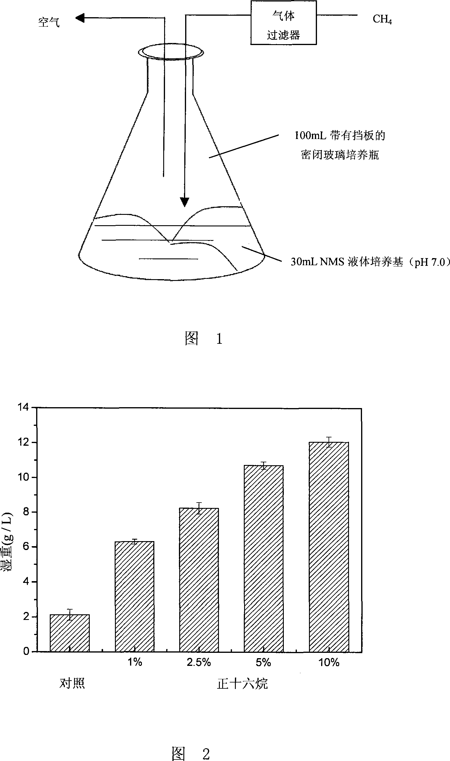 Method for cultivating methane-oxidizing bacteria