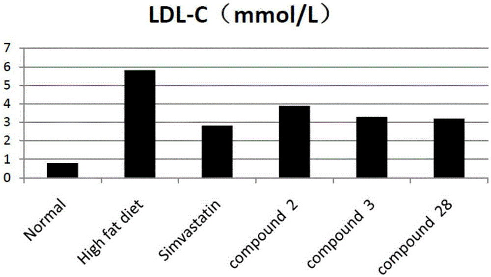 Tetrahydrocoptisine derivative and applications thereof