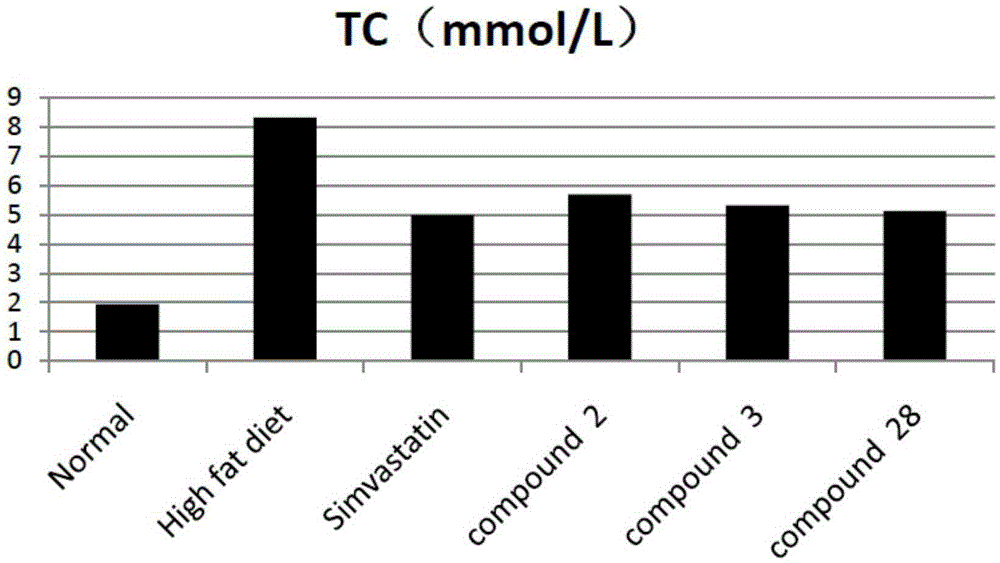 Tetrahydrocoptisine derivative and applications thereof