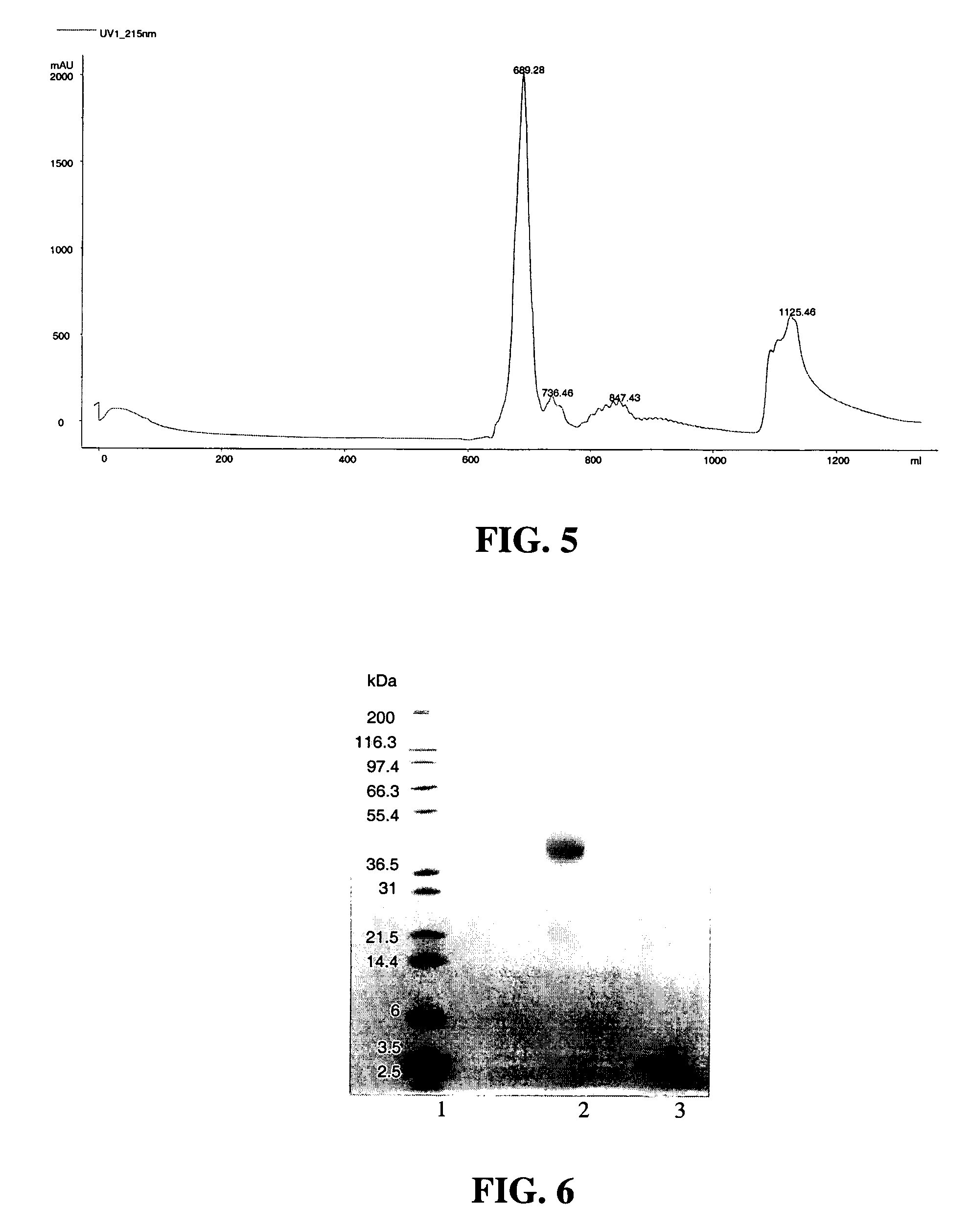 Conjugates having a degradable linkage and polymeric reagents useful in preparing such conjugates